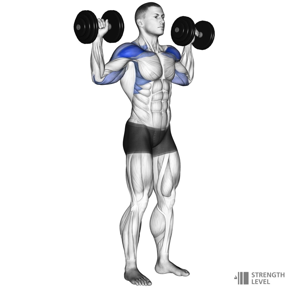 dumbbell shoulder press 1000x1000 1